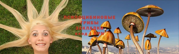 сатива Абинск