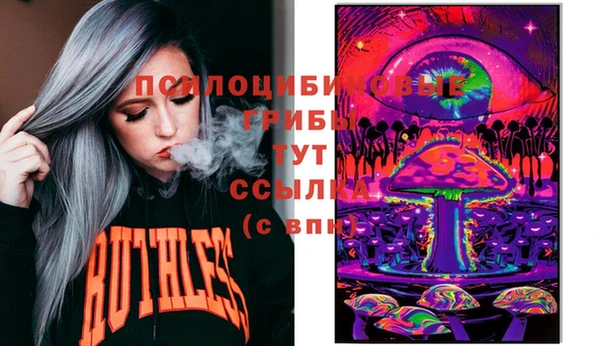 сатива Абинск