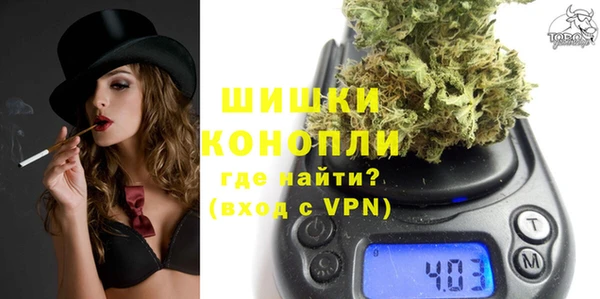 сатива Абинск