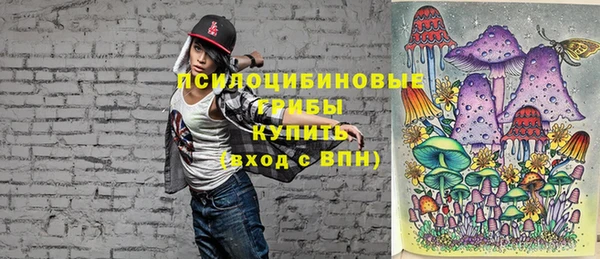 соль ск Абдулино
