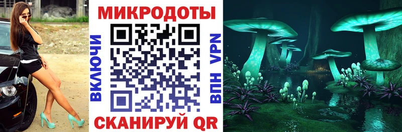 Псилоцибиновые грибы MAGIC MUSHROOMS цена Гагарин
