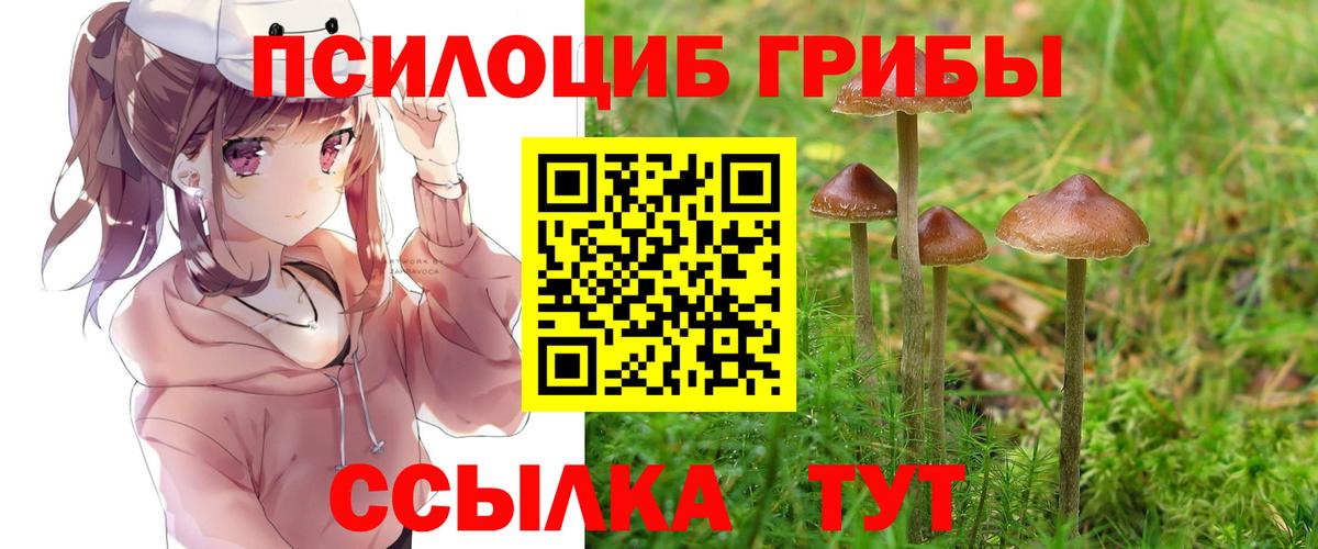 Псилоцибиновые грибы GOLDEN TEACHER Гагарин